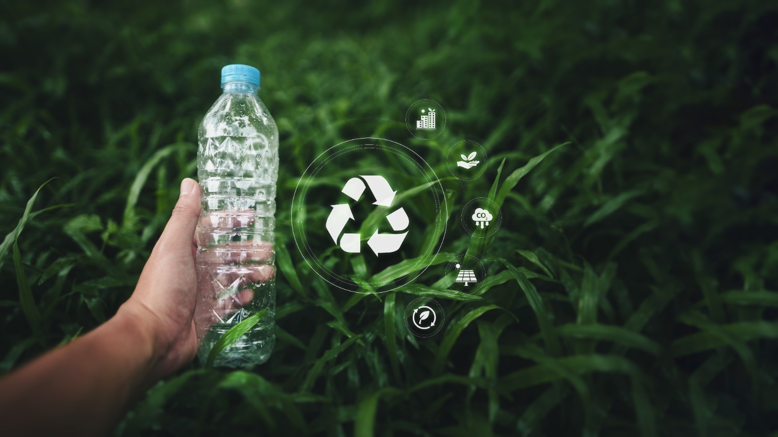Sustainability