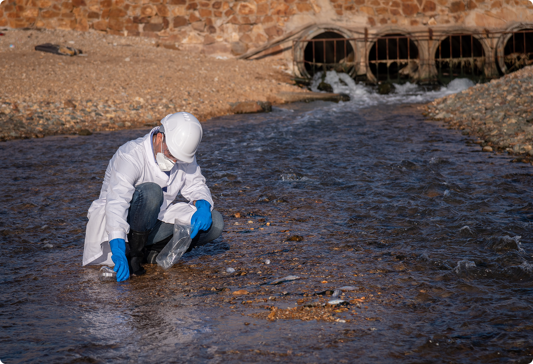 Sludge Management