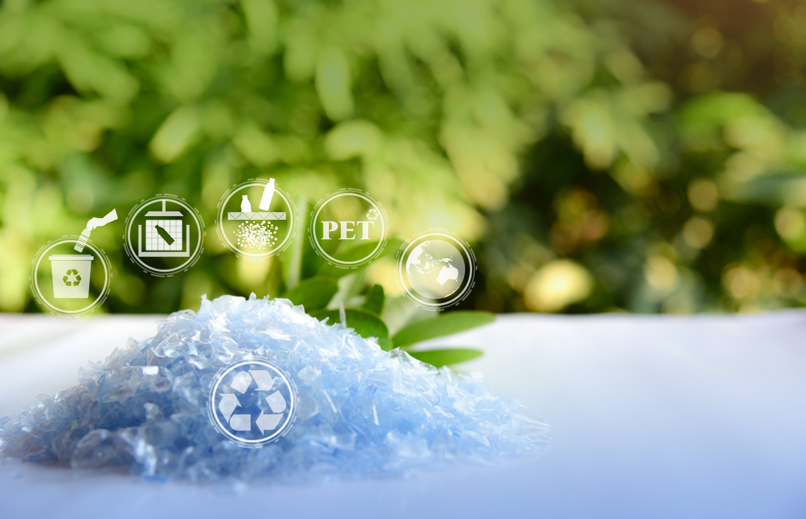 Sustainability